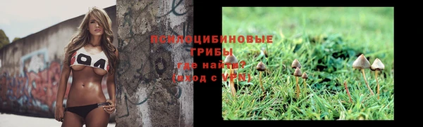 ПСИЛОЦИБИНОВЫЕ ГРИБЫ Нягань