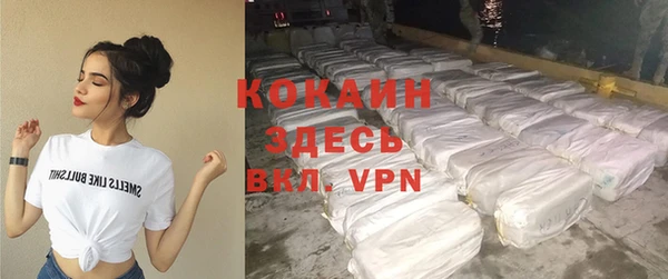 крисы Новокубанск