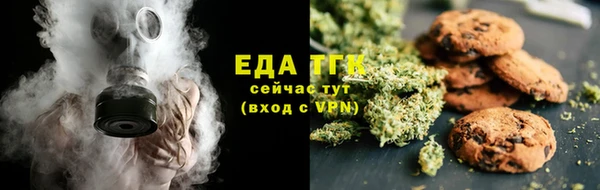 шишки Новозыбков