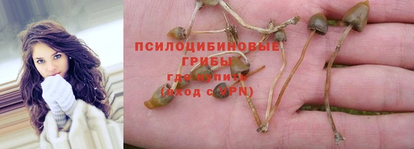 шишки Новозыбков