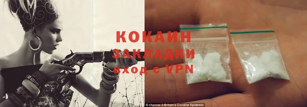 шишки Новозыбков