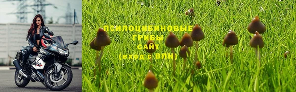 эйфоретик Новодвинск