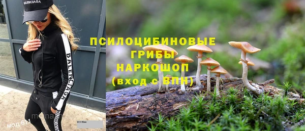 крисы Новокубанск