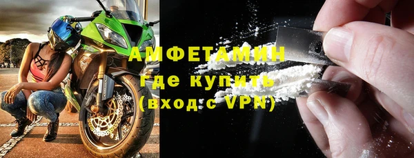 шишки Новозыбков