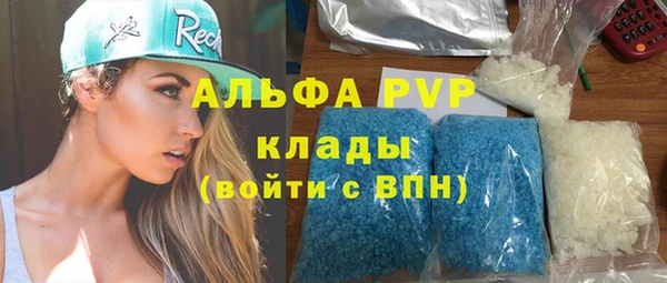 шишки Новозыбков