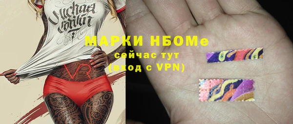крисы Новокубанск
