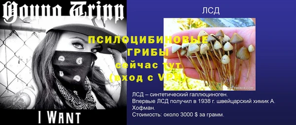 эйфоретик Новодвинск