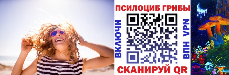 hydra онион  Котовск  Галлюциногенные грибы Cubensis  дарнет шоп 