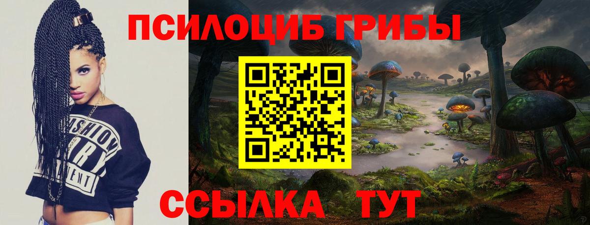 Псилоцибиновые грибы Psilocybine cubensis Котовск
