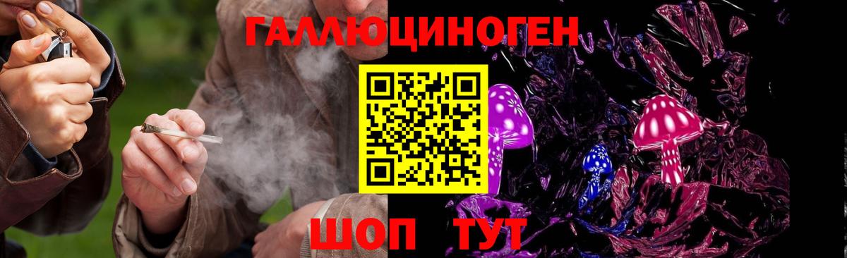 Псилоцибиновые грибы мицелий  как найти закладки  Котовск  Вход с VPN 