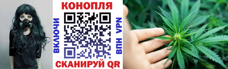 OMG маркетплейс  Котовск  Конопля MAZAR 